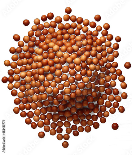 the Nutty Code: Beautiful Nuts on a Clear Canvas