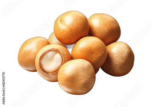 the Nutty Code: Beautiful Nuts on a Clear Canvas
