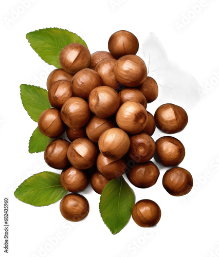 the Nutty Code: Beautiful Nuts on a Clear Canvas