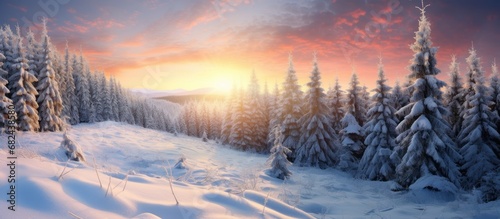 Beautiful Winter landscape with fir trees forest in the snow at evening. AI generated image