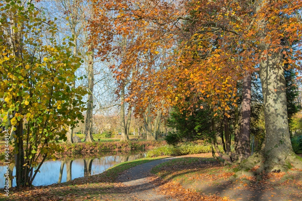 colorful foliage of trees in a park in autumnal sunny day along an alley at the edge of water