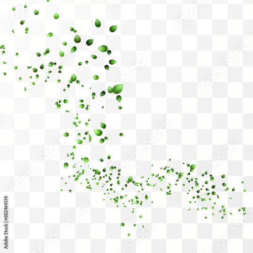 Herbal vector with herbaceous mint leaves on a transparent background. Spring green lime or tea leaves.Flying greenish leaves in the wind.Vector realistic illustration of air vortex.Concept of bloomin