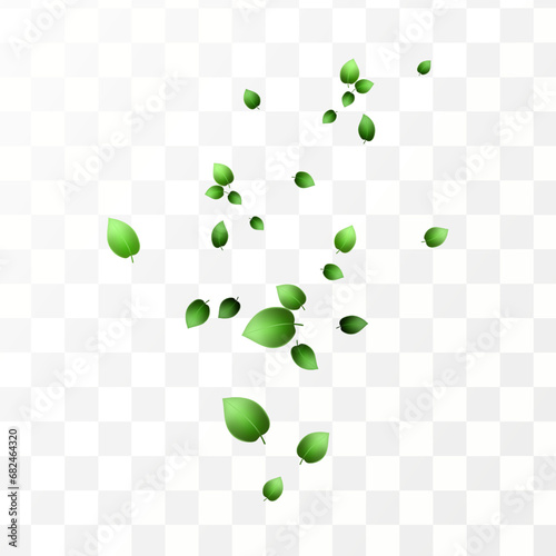 Herbal vector with herbaceous mint leaves on a transparent background. Spring green lime or tea leaves.Flying greenish leaves in the wind.Vector realistic illustration of air vortex.Concept of bloomin