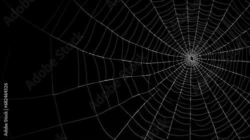 Beautiful patterned spider net design in white color isolated on alpha black background