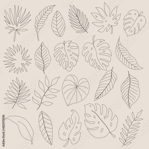 Trees leaf line art design 