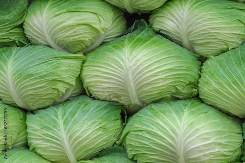 close up on stack green cabbage background