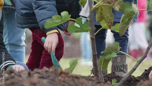 Hands-on tree planting by local residents France