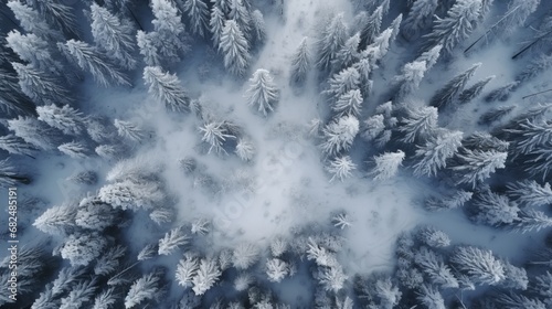 An aerial top-down perspective showcasing the serene beauty of a winter forest landscape. The scene captures the snowy expanse of the forest, highlighting the high and snow-covered fir trees photo