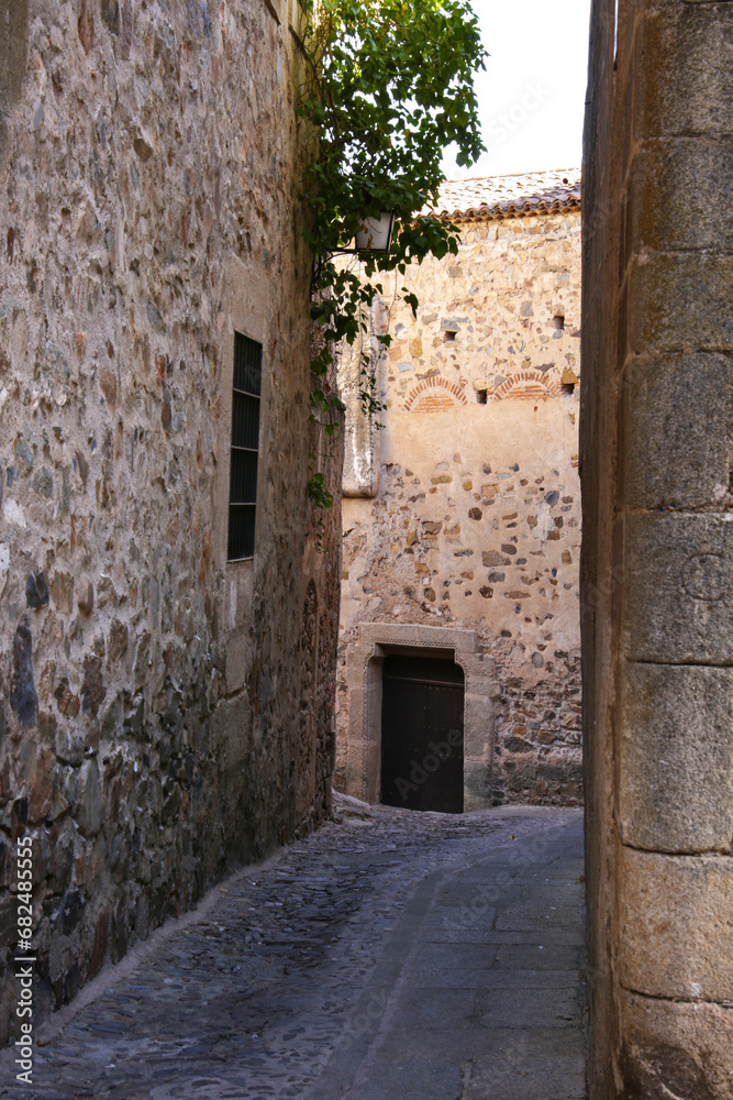 Narrow streets and Facades of historic houses in Caceres city