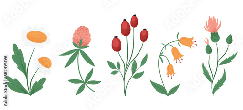 Set with different wildflowers and plants in flat design, hand drawn isolated vector illustration photo