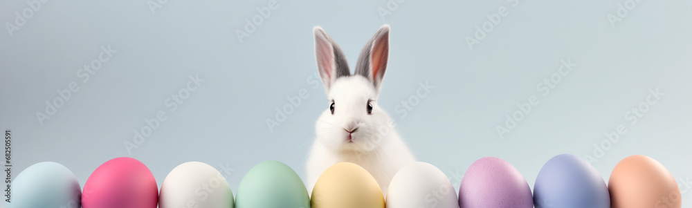 Obraz premium Title: Cute Easter Bunny Pet Rabbit With Easter Eggs, Copy Space For Easter Background, White Bunny Background, Pastel Colors, Easter Celebration, Easter Egg Hunt
