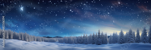 Winter panorama with snow covered fir trees and starry sky. © Tida