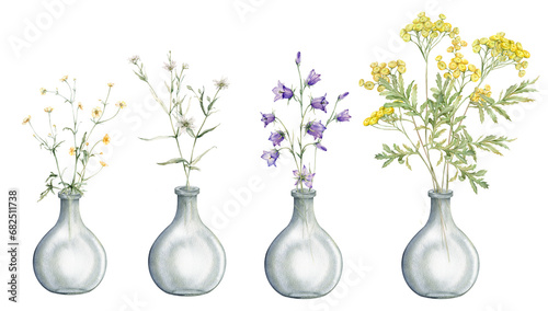 Watercolor botanical illustration on isolate white background. Clipart of meadow and forest flowers in a glass vase. Yellow field flowers - common tansy and buttercup. Bluebell and stellaria holostea photo