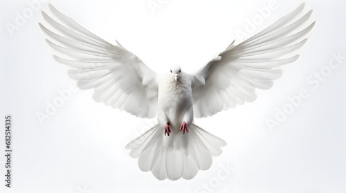 white dove with open wings flies on a white background © petrrgoskov