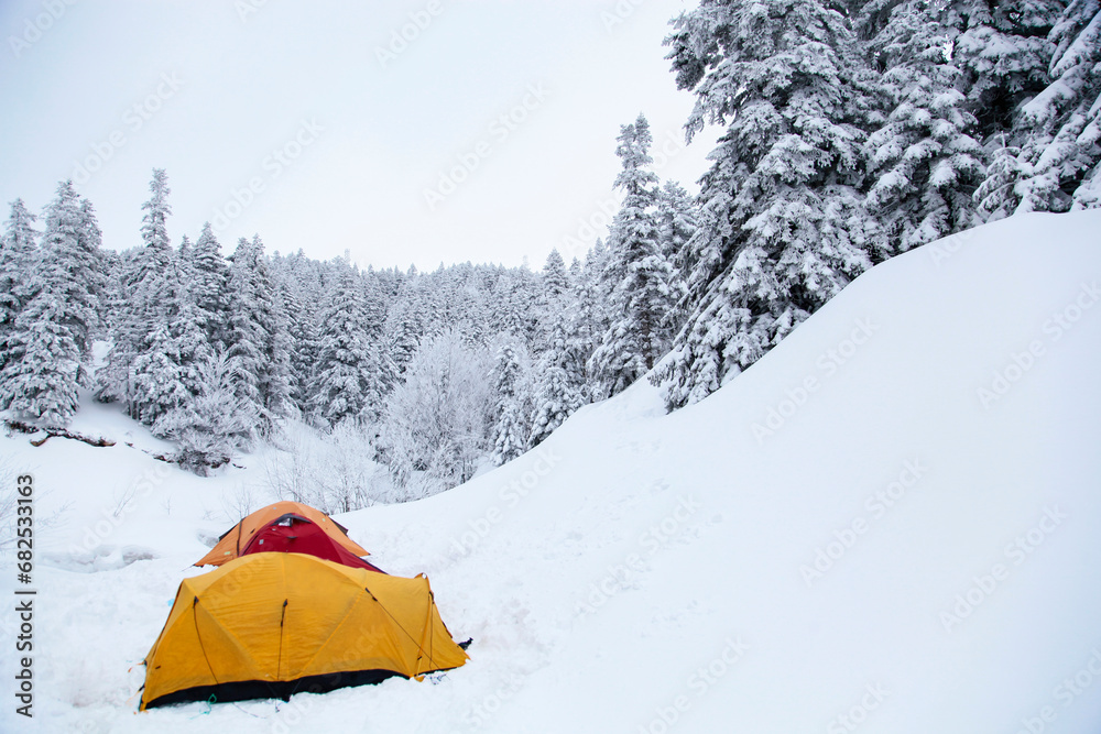 Winter Camping in the Uludag Mountain Photo, Uludag National Park Bursa, Turkiye (Turkey)