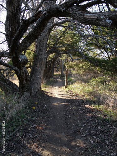 Kansas hiking trail in late Fall photo