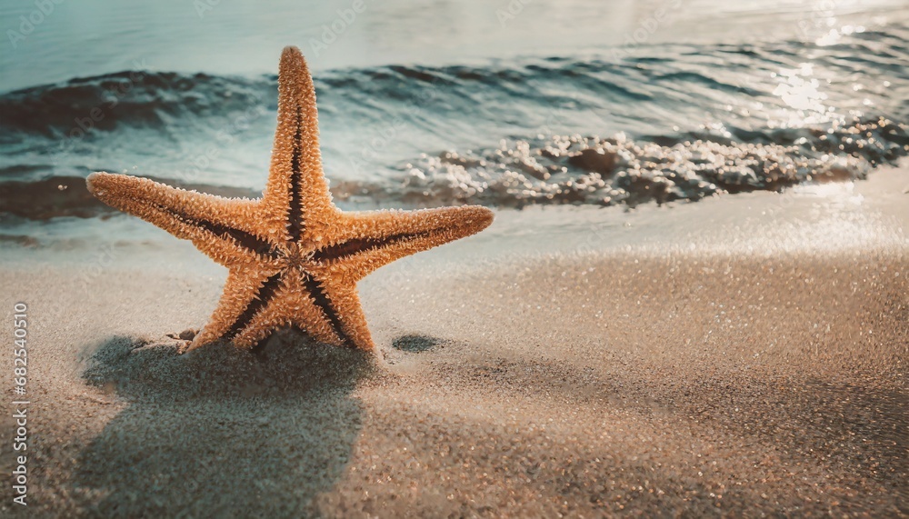 Starfish in the sand. Copy space, flatly. The concept of tourism and recreation Starfish in the sand. Copy space, flatly. The concept of tourism and recreation