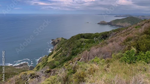 Wallpaper Mural Native forest and islands on the Cape Brett Peninsula hike, Bay of Islands, Northland, New Zealand Torontodigital.ca