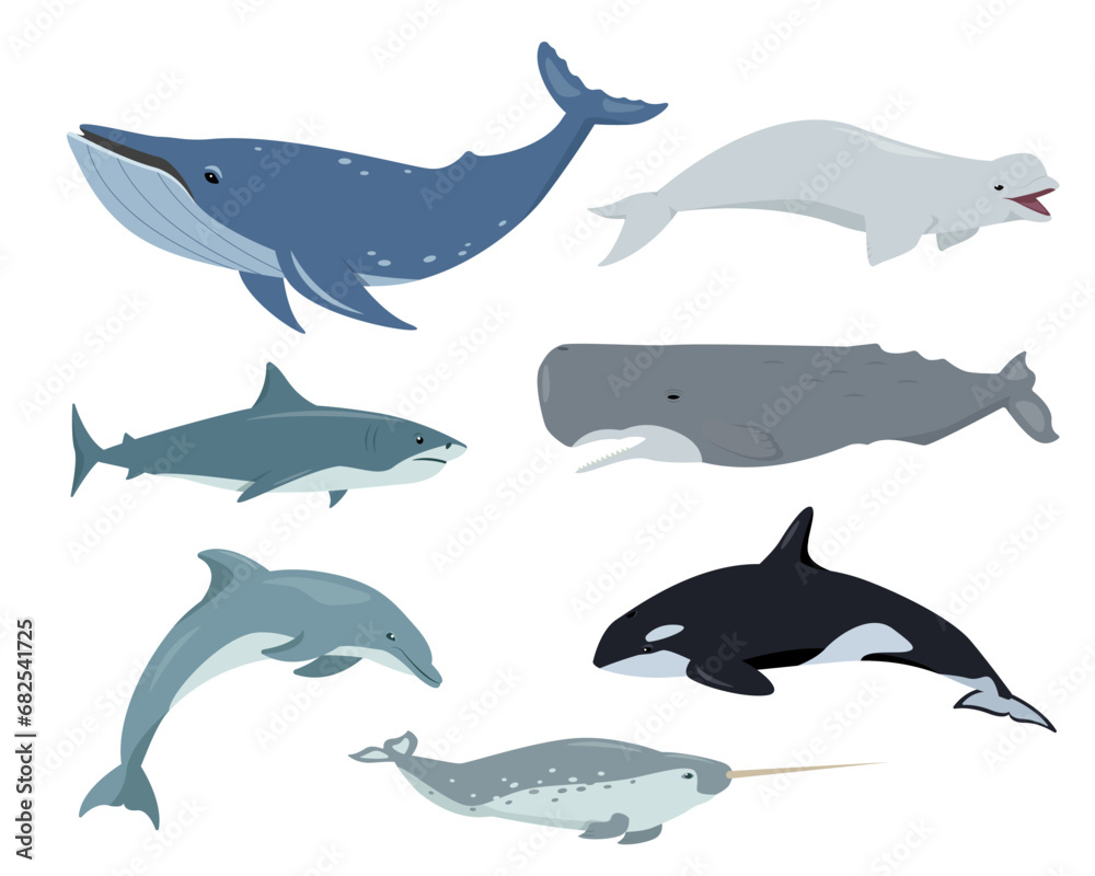 Obraz premium Ocean aquatic animals set. Underwater mammals humpback whale, shark, sperm whale, dolphin, narwhal, beluga and killer whale in different poses. Vector flat illustration isolated on white background.