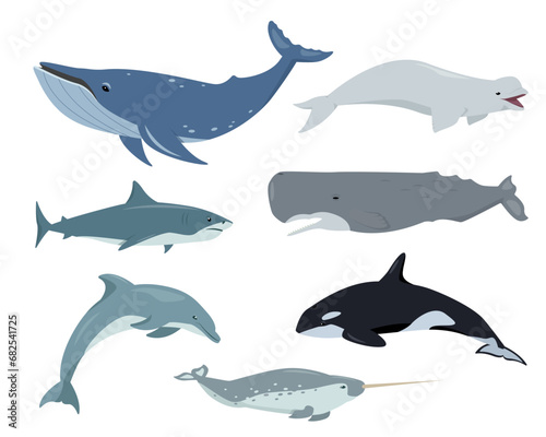 Ocean aquatic animals set. Underwater mammals humpback whale  shark  sperm whale  dolphin  narwhal  beluga and killer whale in different poses. Vector flat illustration isolated on white background.