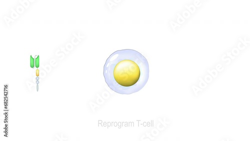 CAR T-cell therapy. cancer immunotherapy