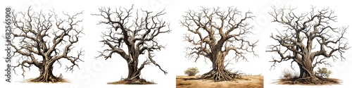 dead tree Hyperrealistic Highly Detailed Isolated On Transparent Background Png File