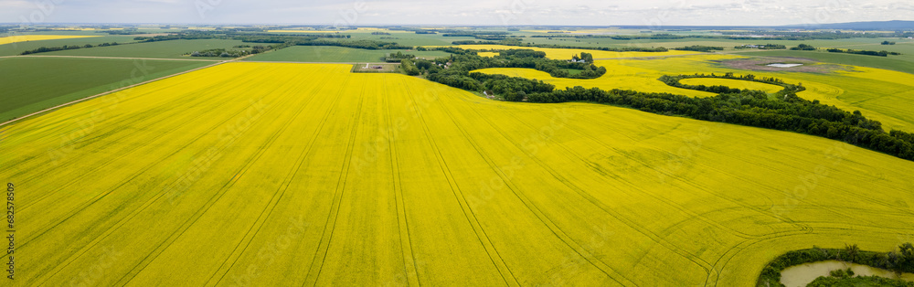 An aerial view of large prairie farm fields with bright yellow canola crops in the foreground and wheat fields in the distance. A small river winds across the fields and is lined with dark green trees