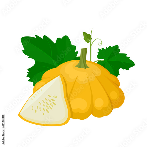 Vector illustration, Pattypan squash whole and sliced, with green leaves, isolated on white background.