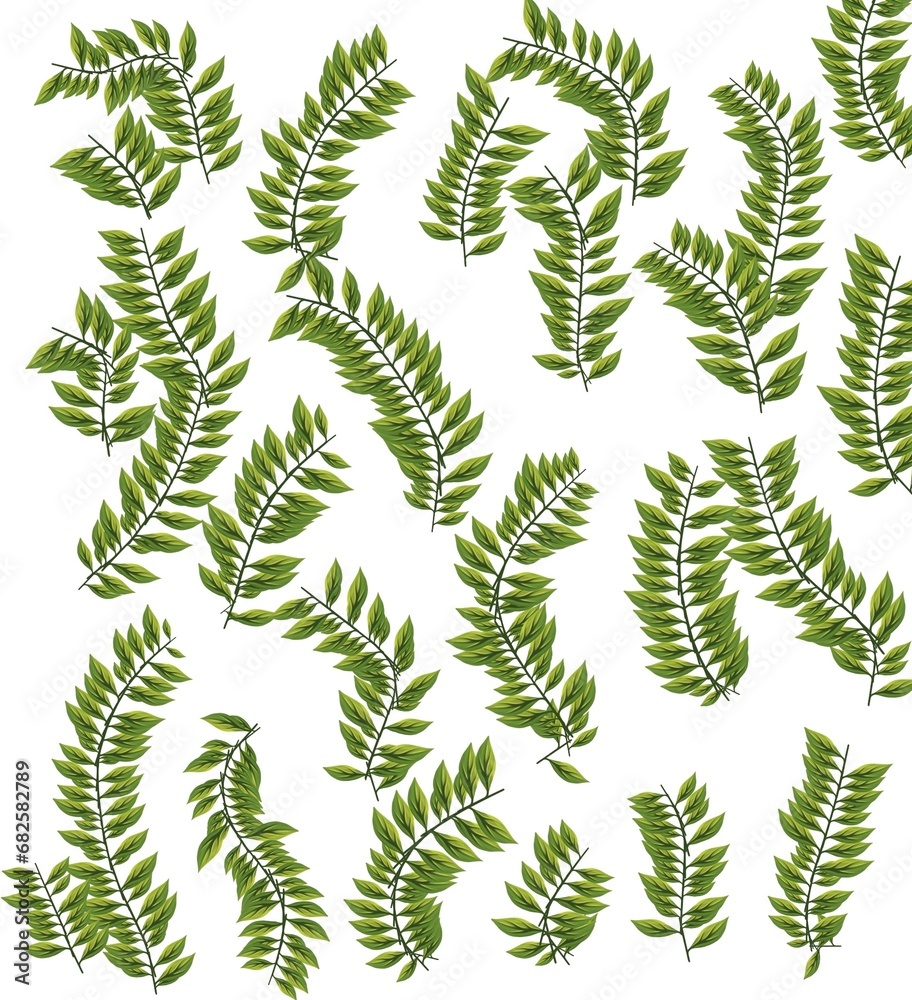 fern leaves pattern