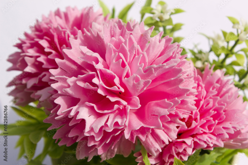 pink carnation flower made from soap on white background.