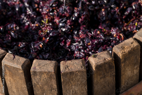 The squeezer is used to press the wine. Technology of wine production in Moldova. The folk tradition of making wine. The ancient tradition of grape processing. Harvest home.