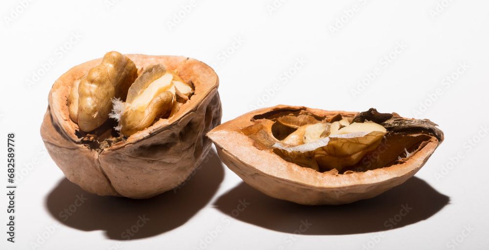 Walnuts are rounded, single-seeded stone fruits of the walnut tree. Cracking a nut. Walnuts are rounded, single-seeded stone fruits of the walnut tree. Cracking a nut.