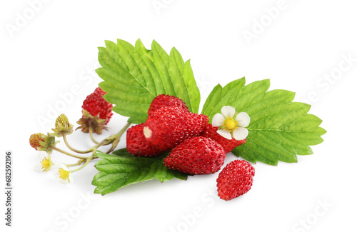 Wild strawberries, green leaves and flower isolated on white