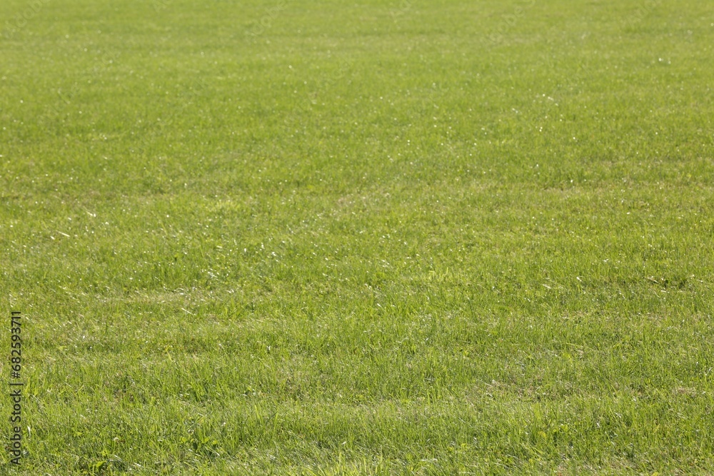 Beautiful lawn with bright green grass outdoors Beautiful lawn with bright green grass outdoors
