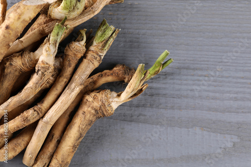 Fresh raw horseradish roots on grey wooden table, closeup. Space for text