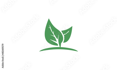 green plant isolated on white background © Sono