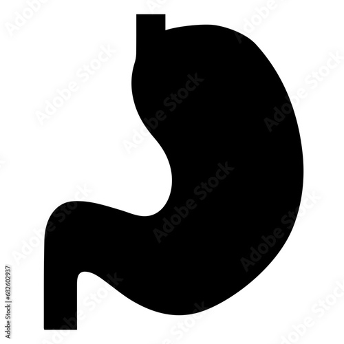 Stomach
