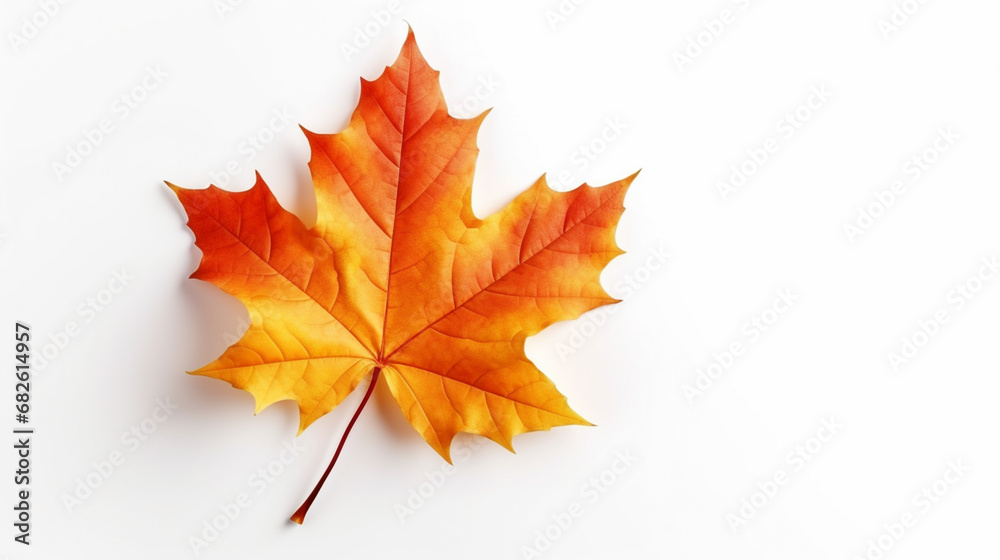 maple leaf on white background. Generative AI maple leaf on white background. Generative AI