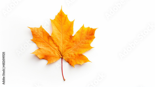 maple leaf on white background. Generative AI