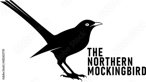 The Northern Mockingbird symbol of Texas Independence Day