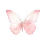 Watercolor illustration of a pink butterfly, Cute character, Isolated on background.