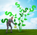 Money tree concept with businessman watering