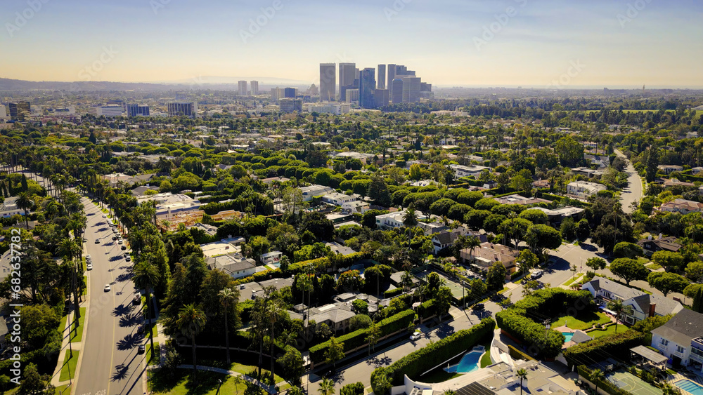 The famous Palm Trees of Beverly Hills - aerial view - Los Angeles Drone footage - aerial photography