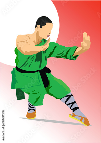 Oriental combat sports. Colored 3d vector illustration