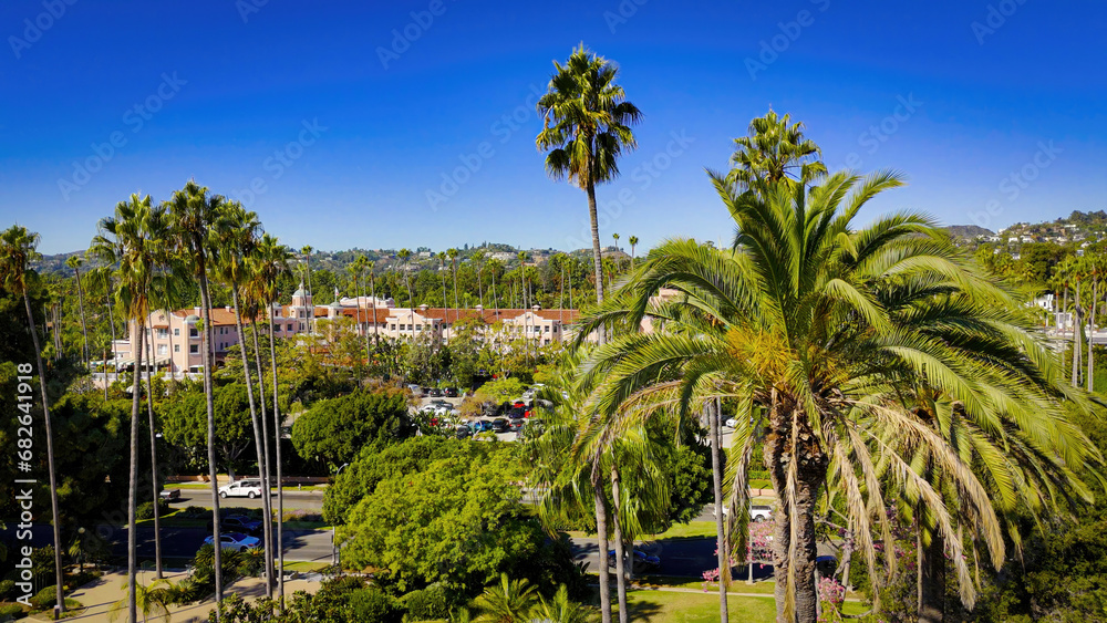 Fototapeta premium The famous Palm Trees of Beverly Hills - aerial view - Los Angeles Drone footage - aerial photography