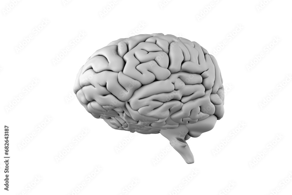 Digital png illustration of white human brain on transparent background Digital png illustration of white human brain on transparent background