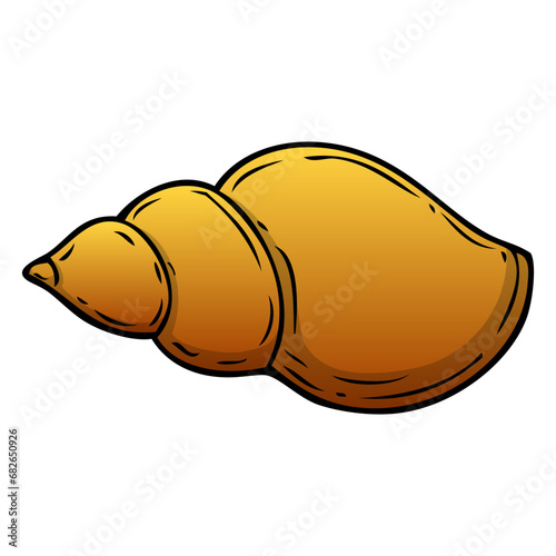 conch shell vector illustration