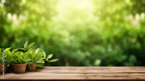 Wooden table and blurred green nature garden background with beautiful background