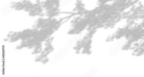 Realistic blur shadow leaves tree branches movement on transparent backgrounds 3d render png