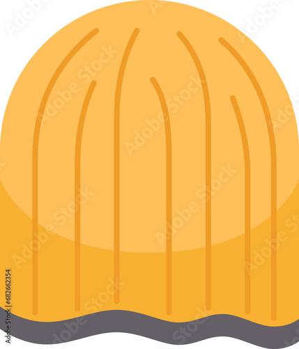 beanie  icon